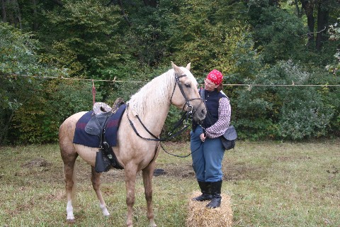 They keep growing these mounts taller.